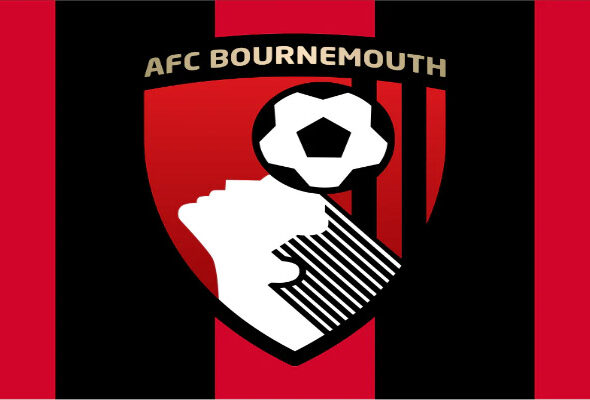 AFC Bournemouth: From Underdogs to Premier League Heroes